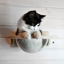 Настенный гамак для кошек "Тоумей мини"