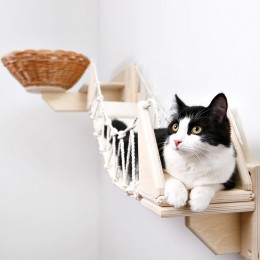 Новинка декабря - комплекс для кошек «Орлиный взгляд»