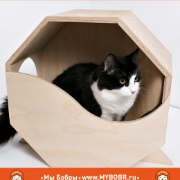 Летняя новинка - напольный домик для кошки «Космопорт»