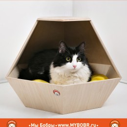 Наша новинка--домик для кошки напольный «Котаро»