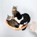 Комплекс для кошек «Орлиный взгляд»