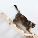 Настенная лесенка-когтеточка для кошек «Двойное совершенство» на сайте "Мы Бобры"