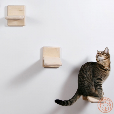 Комплект полочек-ступенек для кошек «Достижение»