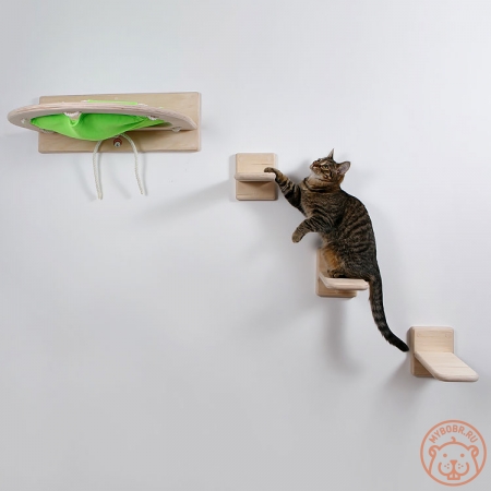 Настенный игровой комплекс  для кошек «Якуси»