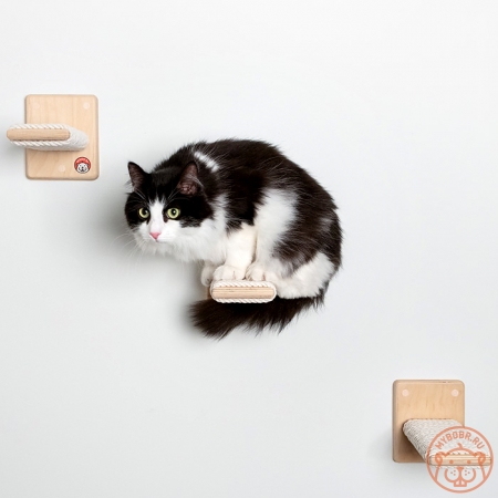 Комплект полочек-ступенек для кошек «Движение»