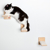 Комплект полочек-ступенек для кошек «Движение»
