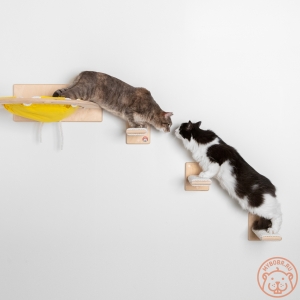 «Уцукуси» комплекс для кошек 