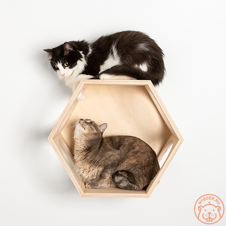 «Кометто» домик для кошки настенный с лежанкой из флока  на сайте "Мы Бобры"
