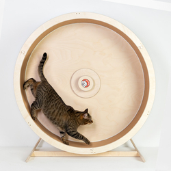«Затея» напольное беговое колесо для кошек