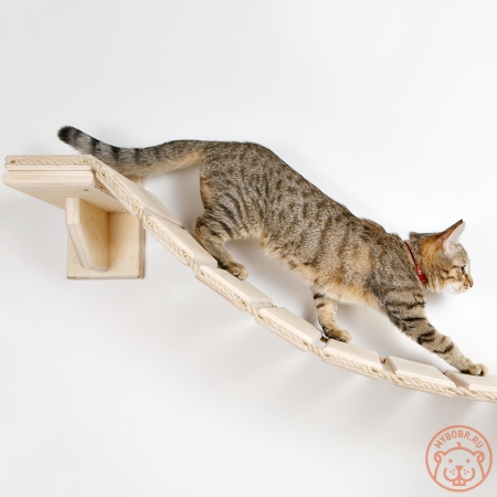Надежный, экологичный мостик лесенка для кошек "Дорога к дому"