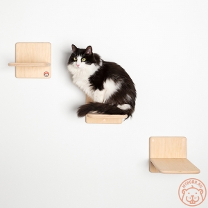 Комплект полочек-ступенек для кошек "Фитнес каждый день"