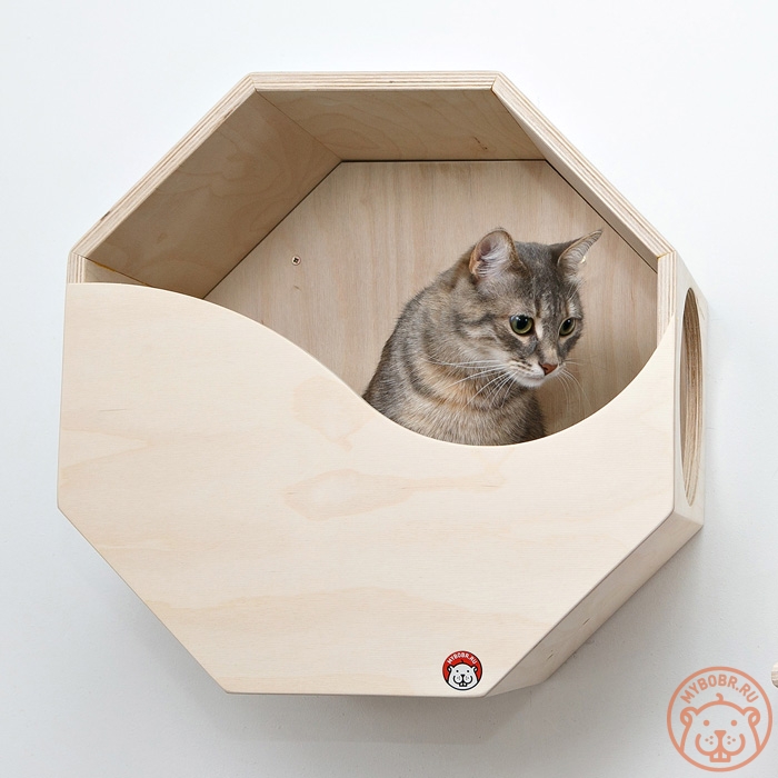 Настенный домик для кошки «Октай» | Купить, цена, отзывы