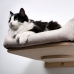 Полочка-лежанка настенная для кошек «Риоко»  для кошек из мебельного флока на сайте " Мы Бобры"