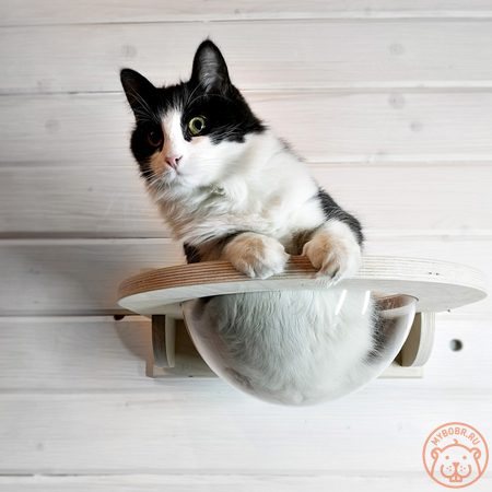 Гамак с прозрачной лежанкой для кошек «Тоумей мини»